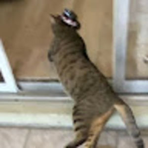 Meet your Posher, Ben and